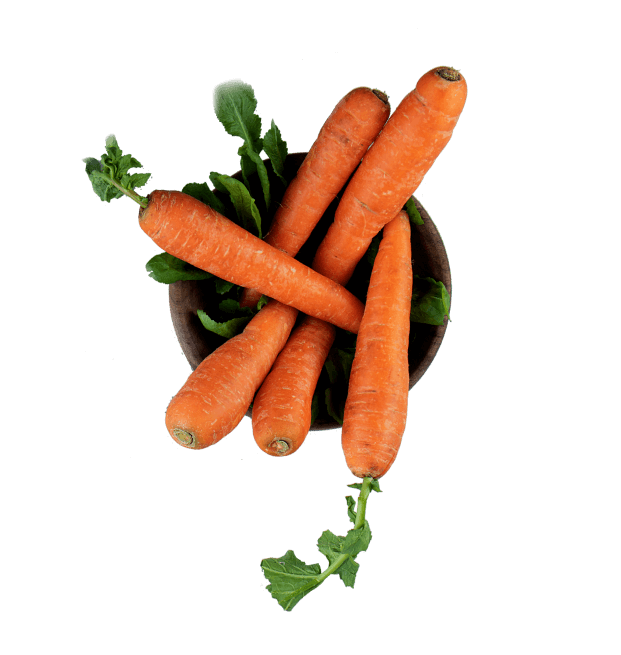 Carrot